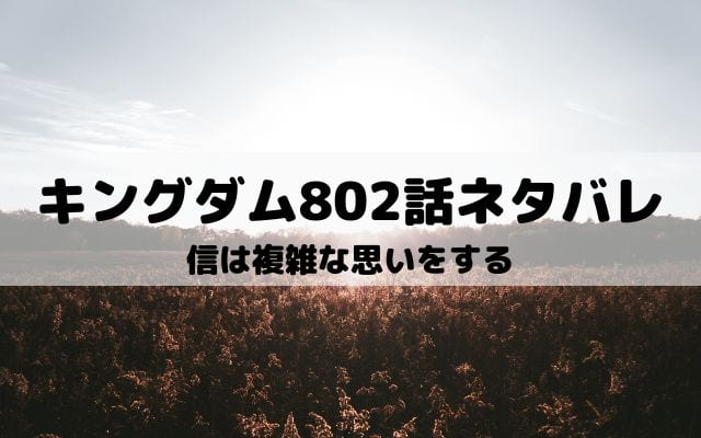 【キングダムネタバレ最新話802話】信は複雑な思いをする