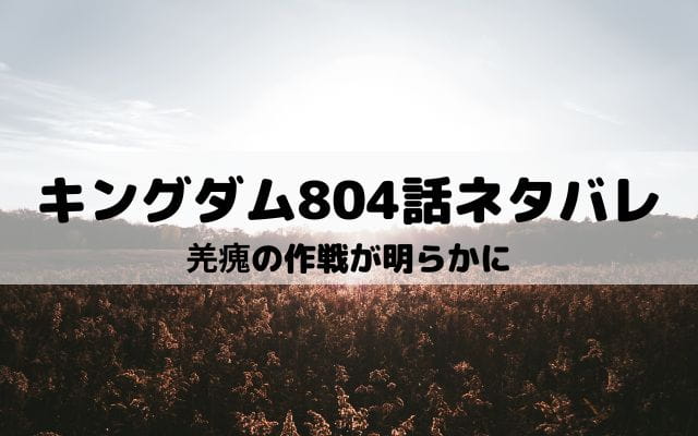 【キングダムネタバレ最新話804話】羌瘣の作戦が明らかに