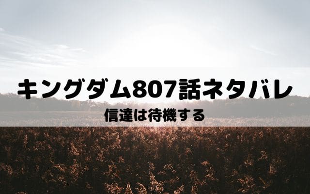 【キングダムネタバレ最新話807話】信達は待機する